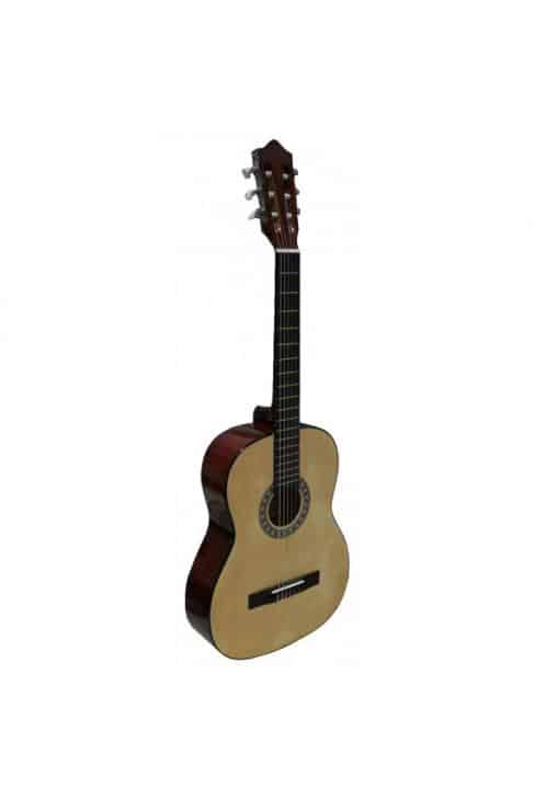 GUITARRA ROCÍO R10