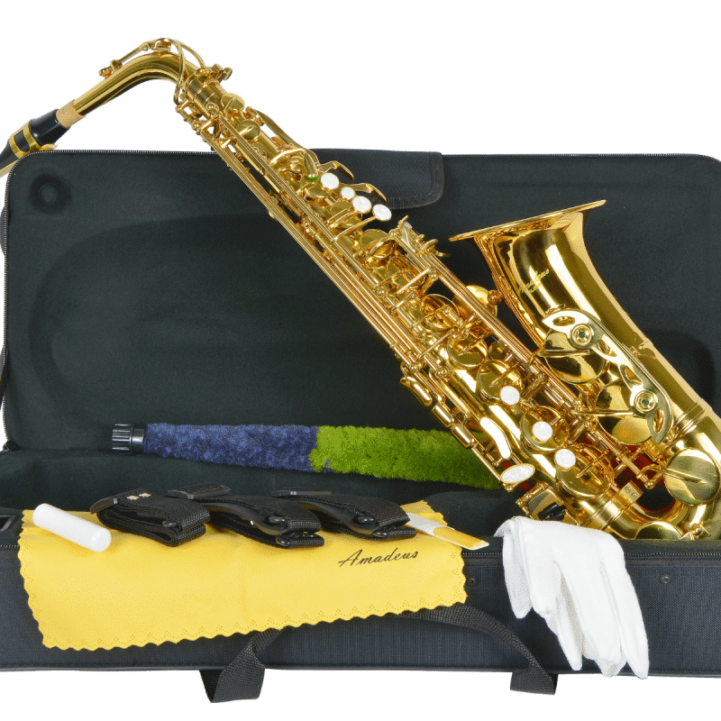 SAXO ALTO AMADEUS AL850 COMPLETO