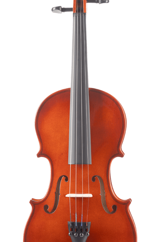 VIOLÍN AMADEUS VAF1034 ¾