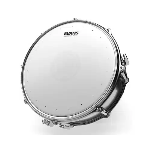 PARCHE EVANS GENERA HEAVY WEIGHT DRY 14″