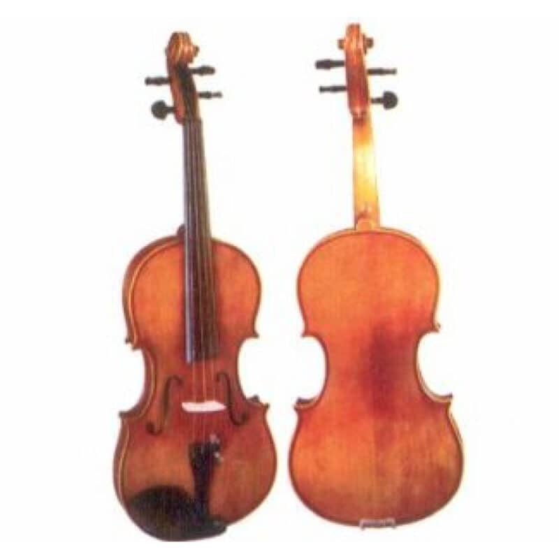 VIOLA KARPATHI 151/2″